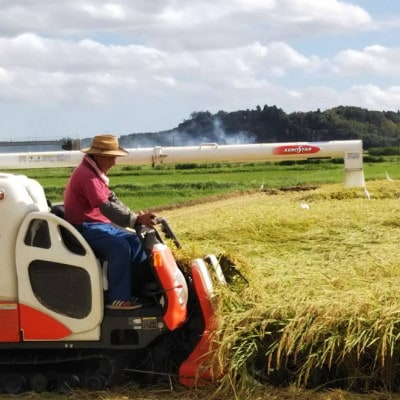 多古米グランプリ常連　佐藤さんのコシヒカリ【令和7年産精米10kg(5kg×2)】【配送不可地域：離島】