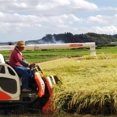 多古米グランプリ常連　佐藤さんのコシヒカリ【令和7年産玄米5kg】【配送不可地域：離島】