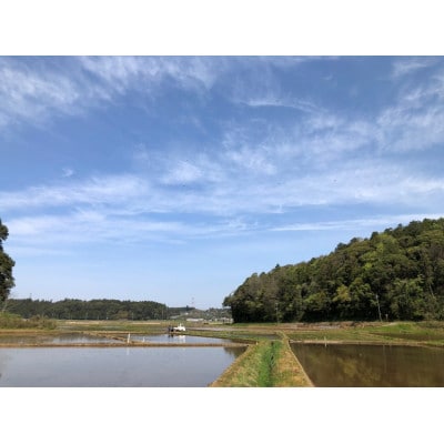 多古米フレッシュ真空パック 1合【配送不可地域：離島・沖縄県】