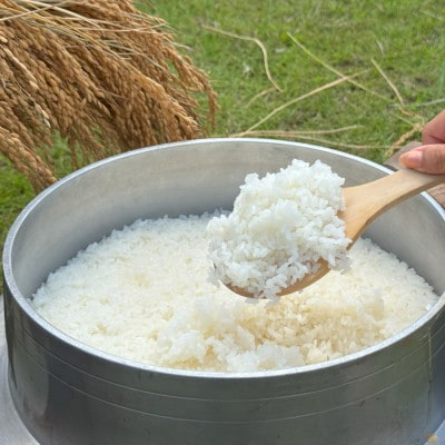 多古米セレクション　萩原佐千穂さんの多古米コシヒカリ　精米10kg　令和7年産【配送不可地域：離島】