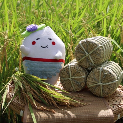 多古米セレクション　大木茂秀さんの多古米コシヒカリ　玄米10kg　令和7年産【配送不可地域：離島】