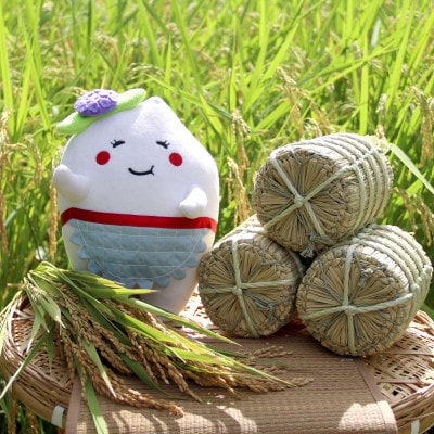 多古米セレクション　高石健太郎さんの多古米コシヒカリ　精米10kg　令和7年産【配送不可地域：離島】