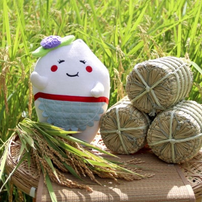 多古米セレクション　大木茂秀さんの多古米コシヒカリ　精米5kg　令和7年産【配送不可地域：離島】