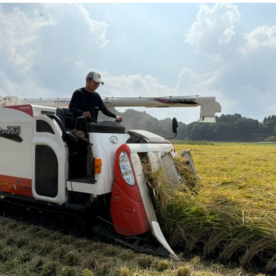 多古米セレクション 宇井稔二さんの多古米コシヒカリ 精米 5kg 令和7年産【配送不可地域：離島】