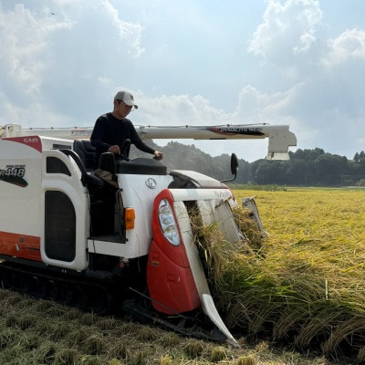 多古米セレクション 宇井稔二さんの多古米コシヒカリ 精米 10kg 令和7年産【配送不可地域：離島】