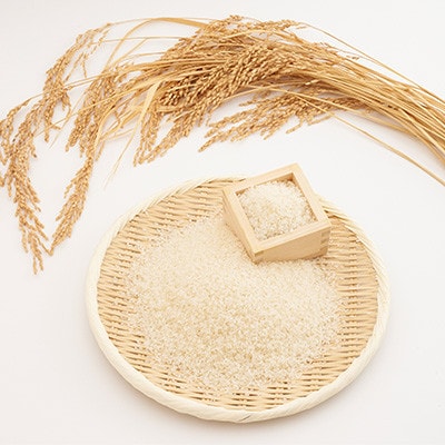 【毎月定期便】たこまいらいふ萩原農場の多古米コシヒカリ(精米)5kg全3回【配送不可地域：離島・沖縄県】