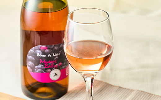多古ワイン2022・マスカット ベーリーA 【Blanc deNoirs・ブランドノワール】【配送不可地域：離島・沖縄県】