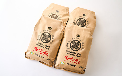 新米【令和7年産】たこまいらいふ萩原農場の多古米コシヒカリ(玄米)20kg【配送不可地域：離島・沖縄県】