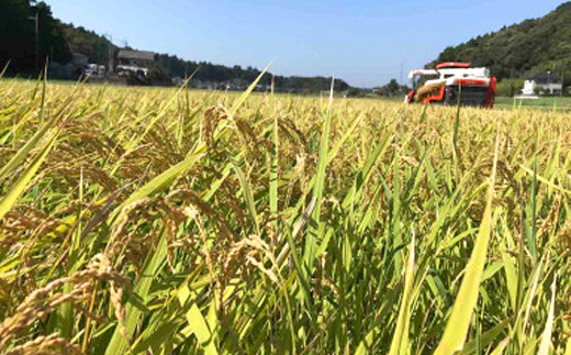 新米【令和7年産】たこまいらいふ萩原農場の多古米コシヒカリ(精米)3kg【配送不可地域：離島・沖縄県】