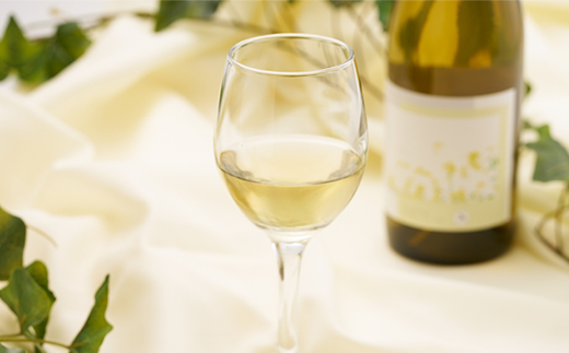 多古ワイン 2022 Blanc(ブラン)シャルドネ・ソーヴィニョンブラン【白ワイン】750ml【配送不可地域：離島】