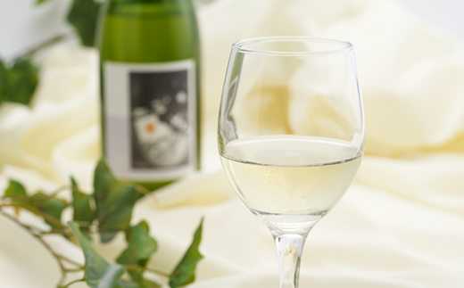 多古ワイン Cidre(シードル)【りんごのスパークリングワイン】750ml【配送不可地域：離島】