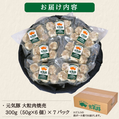 【毎月定期便】元気豚 大粒肉焼売セット 42個セット(計2.1kg)全6回【配送不可地域：離島・沖縄県】