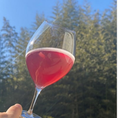 【多古ワイン】多古町船越ワイナリー醸造ロゼスパークリングワイン/Goodness2021【配送不可地域：離島・沖縄県】