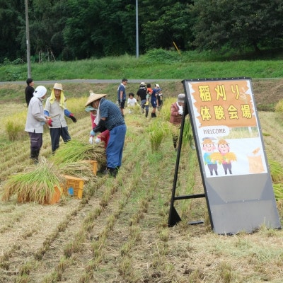 山口さんちの【令和7年産】多古米コシヒカリ(玄米)5kg【配送不可地域：離島・沖縄県】