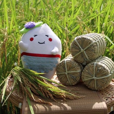 多古米セレクション　宇井稔二さんの多古米コシヒカリ　玄米10kg　令和7年産【配送不可地域：離島】