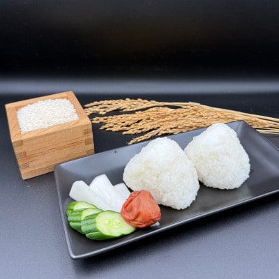 多古米セレクション　萩原佐千穂さんの多古米コシヒカリ　精米5kg　令和7年産【配送不可地域：離島】