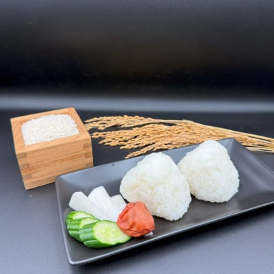 多古米セレクション　萩原佐千穂さんの多古米コシヒカリ　精米10kg　令和7年産【配送不可地域：離島】