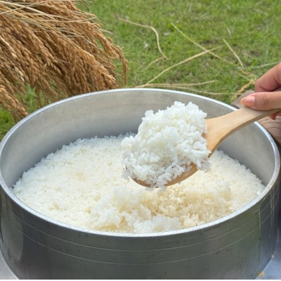 多古米セレクション　高石健太郎さんの多古米コシヒカリ　精米10kg　令和7年産【配送不可地域：離島】