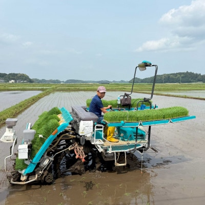 多古米セレクション　大木茂秀さんの多古米コシヒカリ　精米5kg　令和7年産【配送不可地域：離島】