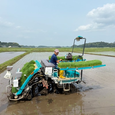 多古米セレクション　大木茂秀さんの多古米コシヒカリ　玄米5kg　令和7年産【配送不可地域：離島】