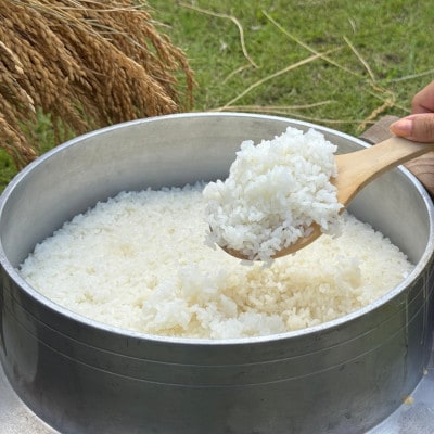 多古米セレクション　高石健太郎さんの多古米コシヒカリ　精米5kg　令和7年産【配送不可地域：離島】