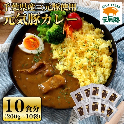 【千葉県産三元豚使用】元気豚 カレーセット　2kg(200g×10食分)【配送不可地域：離島・沖縄県】