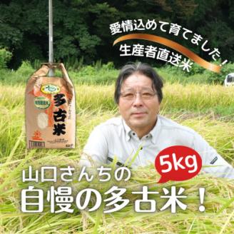 山口さんちの【令和7年産】多古米コシヒカリ(精米)5kg【配送不可地域：離島・沖縄県】