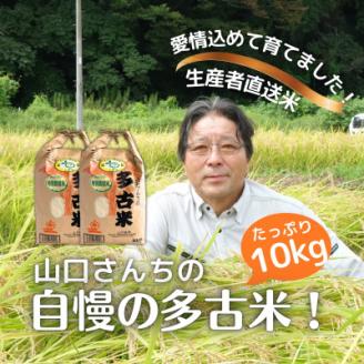 山口さんちの【令和7年産】多古米コシヒカリ(精米)10kg【配送不可地域：離島・沖縄県】