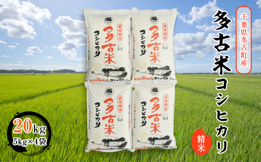 【令和7年産】多古米コシヒカリ　精米20kg(5kg×4袋)【配送不可地域：離島・沖縄県】