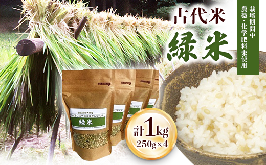 栽培期間中農薬化学肥料不使用の古代米「緑米」250g×4【配送不可地域：離島・沖縄県】