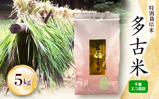 千葉エコ認証　特別栽培米多古米【配送不可地域：離島・沖縄県】
