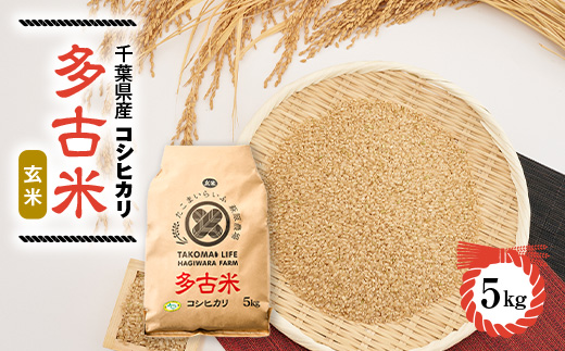 新米【令和7年産】たこまいらいふ萩原農場の多古米コシヒカリ(玄米)5kg　【配送不可地域：離島・沖縄県】