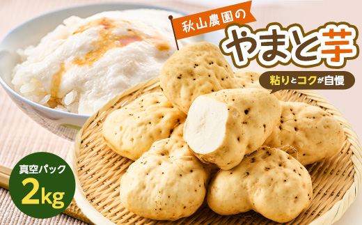やまと芋の町 多古から「秋山農園のやまと芋」2kg