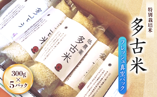 多古米フレッシュ真空パック【配送不可地域：離島・沖縄県】