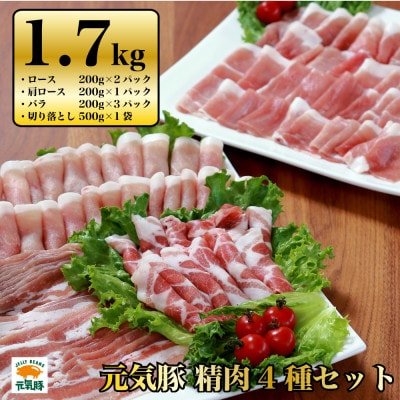 千葉県産豚肉　元気豚 精肉4種セット　1.7kg【配送不可地域：離島・沖縄県】