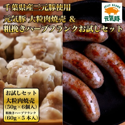 元気豚 大粒肉焼売＆フランクフルトお試しセット　600g(50g×6個入り、60g×5本入り)【配送不可地域：離島】