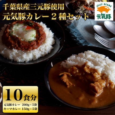 元気豚カレー2種セット(元気豚カレー 5P、キーマカレー 5P　計10食分)【保存食・備蓄・ギフト】【配送不可地域：離島・沖縄県】