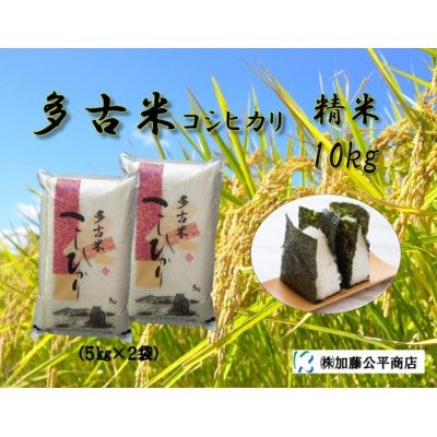 【令和7年産】多古米コシヒカリ 精米10kg(5kg×2袋)【配送不可地域：離島・沖縄県】