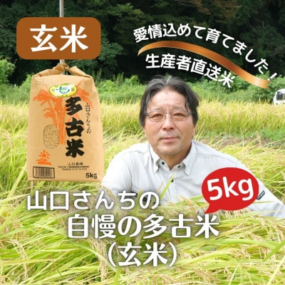 山口さんちの【令和7年産】多古米コシヒカリ(玄米)5kg【配送不可地域：離島・沖縄県】