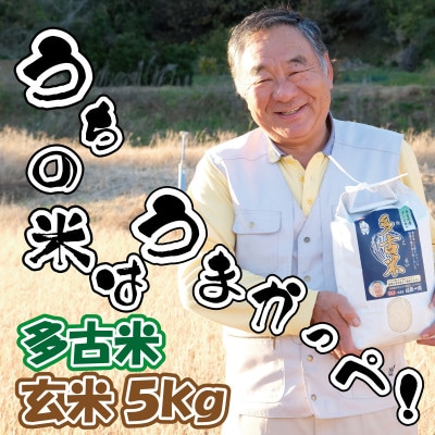 多古米グランプリ常連　佐藤さんのコシヒカリ【令和7年産玄米5kg】【配送不可地域：離島】