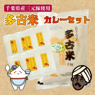 ご飯にはやっぱりカレー!「多古米コシヒカリ2kg」と「元気豚キーマカレー150g×6」セット【配送不可地域：離島】