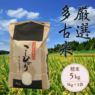 厳選多古米コシヒカリ　精米5kg　令和7年産【配送不可地域：離島】