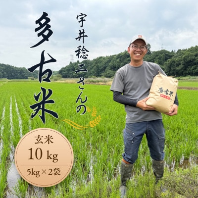 多古米セレクション　宇井稔二さんの多古米コシヒカリ　玄米10kg　令和7年産【配送不可地域：離島】