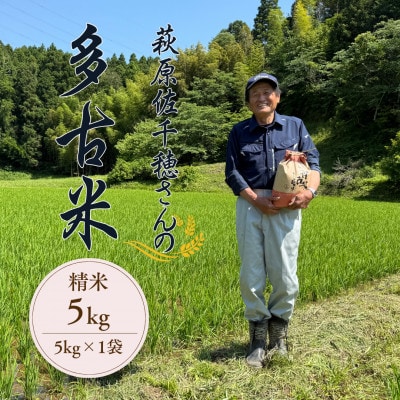 多古米セレクション　萩原佐千穂さんの多古米コシヒカリ　精米5kg　令和7年産【配送不可地域：離島】