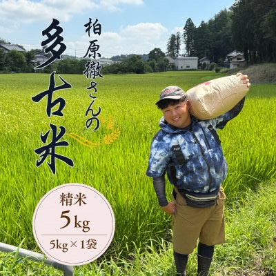 多古米セレクション　柏原徹さんの多古米コシヒカリ　精米5kg　令和7年産【配送不可地域：離島】