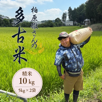 多古米セレクション　柏原徹さんの多古米コシヒカリ　精米10kg　令和7年産【配送不可地域：離島】