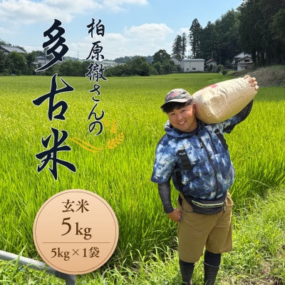 多古米セレクション　柏原徹さんの多古米コシヒカリ　玄米5kg　令和7年産【配送不可地域：離島】