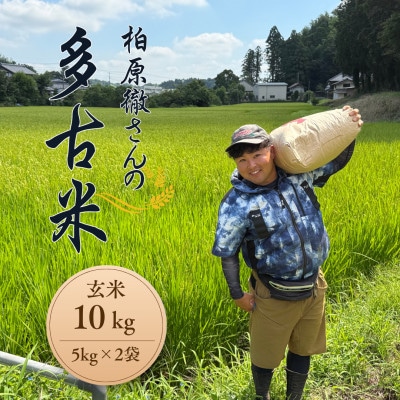 多古米セレクション　柏原徹さんの多古米コシヒカリ　玄米10kg　令和7年産【配送不可地域：離島】