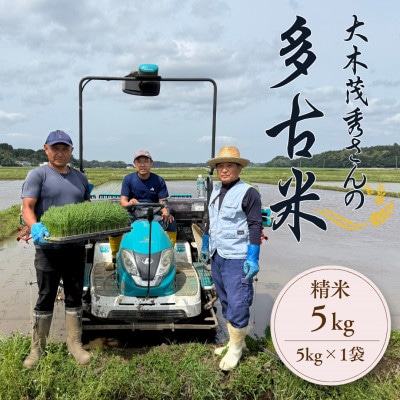 多古米セレクション　大木茂秀さんの多古米コシヒカリ　精米5kg　令和7年産【配送不可地域：離島】