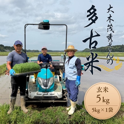 多古米セレクション　大木茂秀さんの多古米コシヒカリ　玄米5kg　令和7年産【配送不可地域：離島】